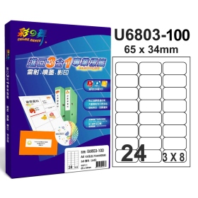 彩之舞進口3合1專業標籤 3x8圓角 16格留邊 