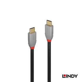 ANTHRA LINE USB 3.1 Gen 2 Type-C 公to公傳輸線+PD智能電流晶片 1m