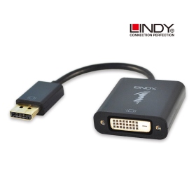 LINDY 林帝  主動式 DisplayPort 轉 DVI 轉接器(LD-41734)