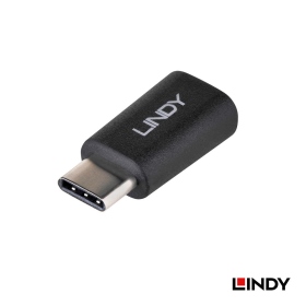 林帝 USB 2.0 Type C(公) 轉 Micro USB(母) 轉接頭(41896)